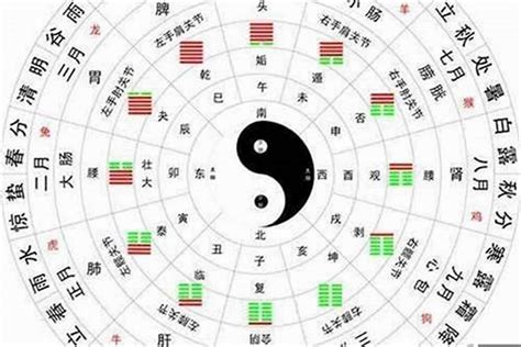 金木水火土五行|五行查询